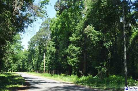 TBD Lot 3K 3L Branchwood Road, Clio, SC 29525