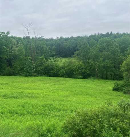 00 Oregon Road, Butternuts, NY 13776