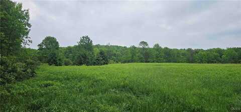 Gospel Hill Road, Oxford, NY 13830