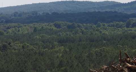 Lot 18 Summer City Road, Evensville, TN 37332