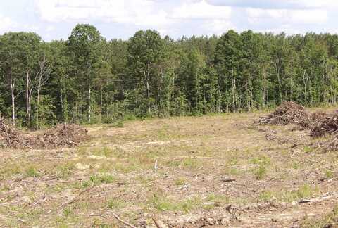 Lot 17 Summer City Road, Evensville, TN 37332