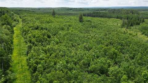 80 Acres Off of Highway 40, Radisson, WI 54867