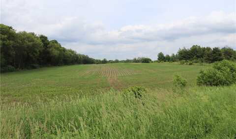 0000 McGower Road, Fairchild, WI 54741