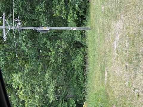 3027 E CROTON DRIVE, NEWAYGO, MI 49337
