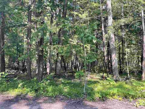 TBD BRIDGE, HARBOR SPRINGS, MI 49740