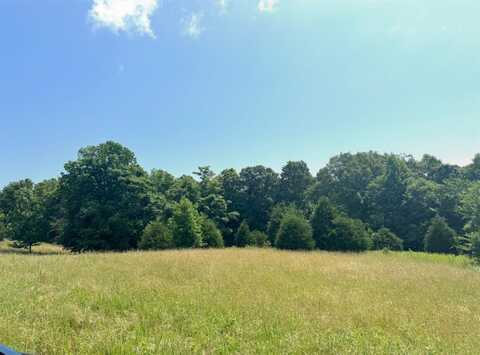 11.3 acres Phelps Dunham Road, Edmonton, KY 42129