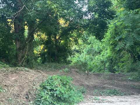 0 Highway 49, Bradfordsville, KY 40009