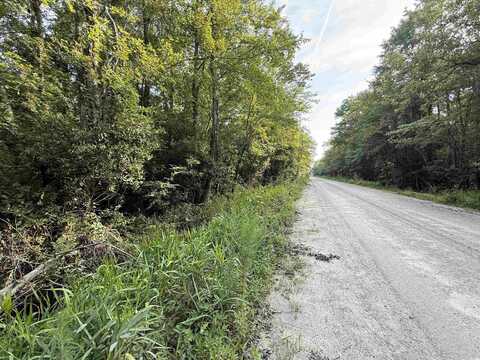 TBD Wolf Pit Bay Rd., Nichols, SC 29581
