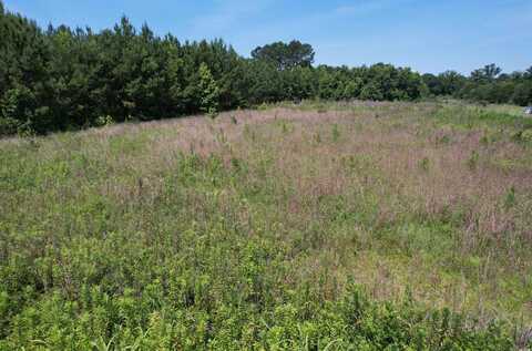 3.7 Acres - TBD Marion Church Rd., Salters, SC 29590