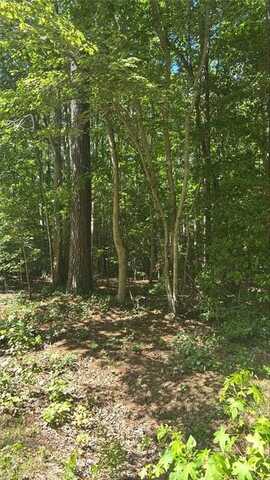 5.23AC New Hope Court, Gloucester, VA 23061