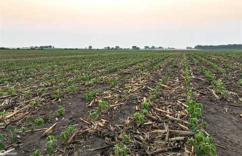 Thomas Avenue, Coggon, IA 52218