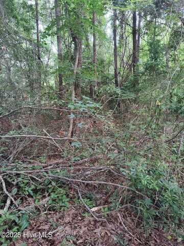 106 Taylor Lane, Hubert, NC 28539