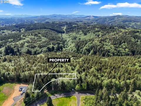 1420 Raymond-South Bend RD, Raymond, WA 98577