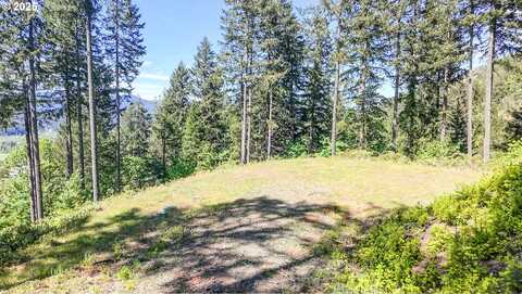 Alder Branch RD, Springfield, OR 97478