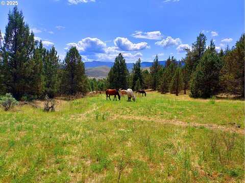Wiley Creek Rd, Dayville, OR 97825