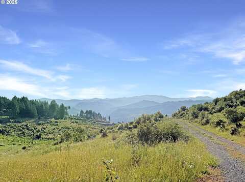 466 GARDNER RIDGE RD, Brookings, OR 97415