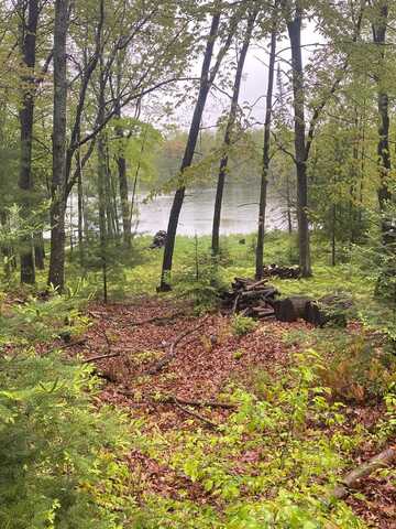 1530 SPRING, Lake, MI 48625