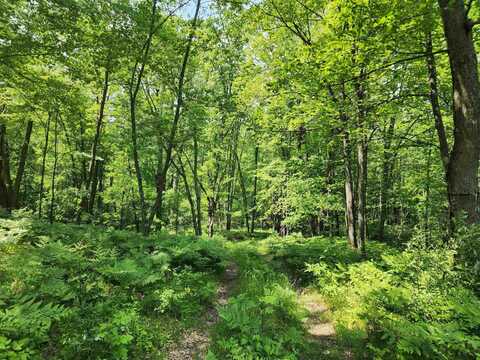 25 +/- Acres Mostetler, Harrison, MI 48625