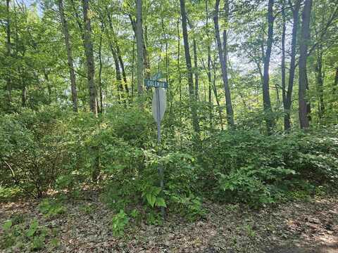 524 Coleman, Harrison, MI 48625