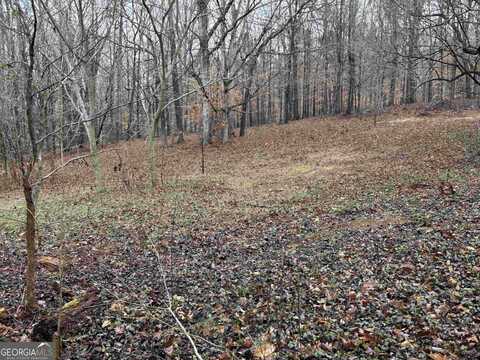 0 Lebanon Church Rd, Other, GA 30549