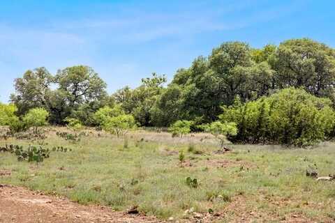 Tract 3 County Rd 107, Burnet, TX 78611