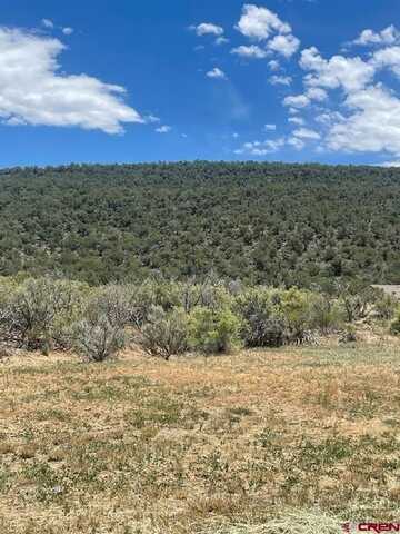 745 SE Pinyon Street, Cedaredge, CO 81413