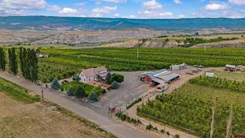20809 Nowhere Road, Eckert, CO 81418