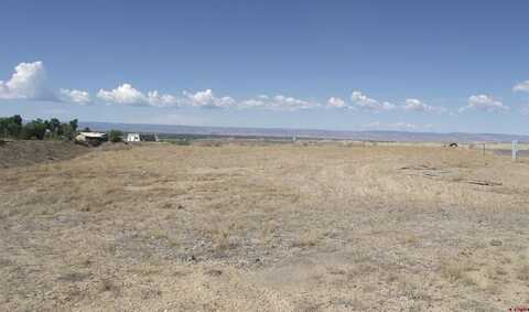9331 1990 Lane, Austin, CO 81410
