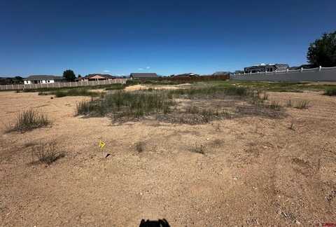 1560 Cochita Drive, Cortez, CO 81321