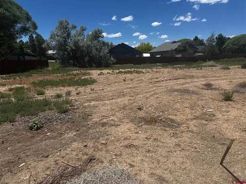 1305 Cochita Drive, Cortez, CO 81321