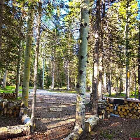 505 Wildflower Drive, Cimarron, CO 81220