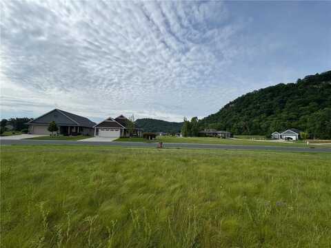 Tbd Cedar Drive, Lake City, MN 55041