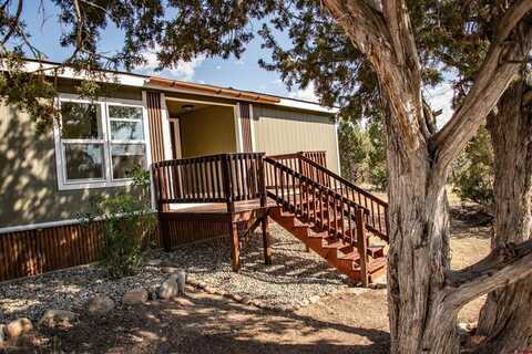 475 Run Around, Arboles, CO 81121