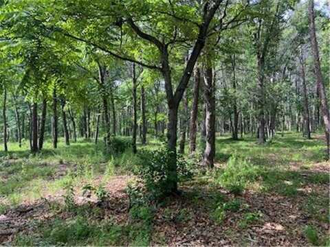 Tbd Clearwater Road, Baxter, MN 56425