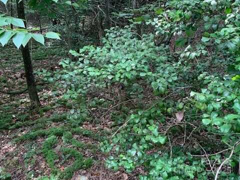 7.67 AC. HOLBERT COVE Road unit: 7.67 Ac., Saluda, NC 28773