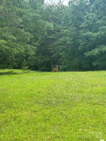 28 Fallen Tree Lane, Mill Spring, NC 28756