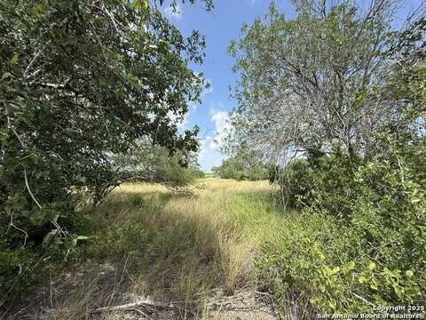 11234 Fm 626, Kenedy, TX 78119