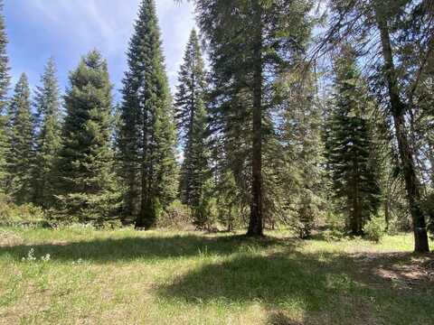 4-E-2 Echo Way, McCloud, CA 96057