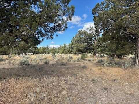 9-1/215 Mountain Wood Drive, Weed, CA 96094