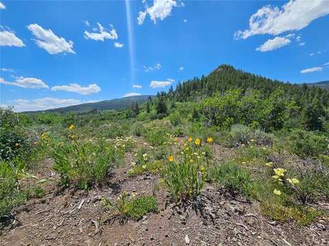 06 YOUNGS CREEK WAY, Oak Creek, CO 80467