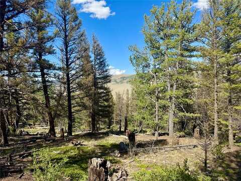 Lot 223 MIDDLE FORK VISTA, Fairplay, CO 80440