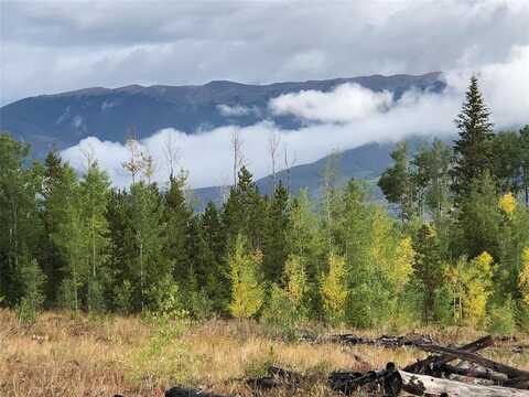 2510 RYAN GULCH ROAD, Silverthorne, CO 80498