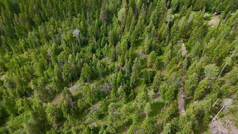 Cedar Creek Rd, Colville, WA 99114