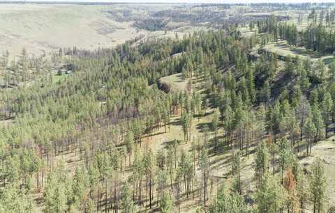 31875 Hawk Creek Ranch Rd N Rd, Davenport, WA 99122