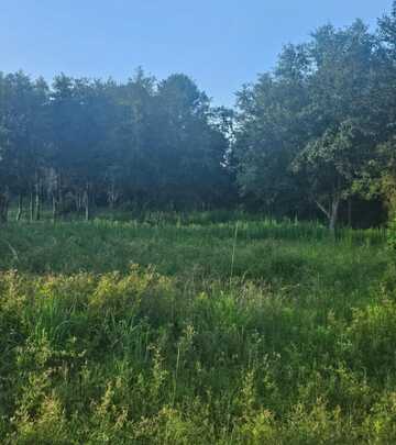 159 Moonlight Drive, Eutawville, SC 29048