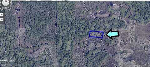 None Unknown, Grant, FL 32949