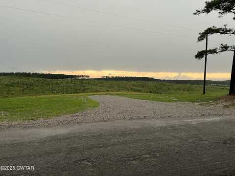 0 Otis Paine Road, Bethel Springs, TN 38315