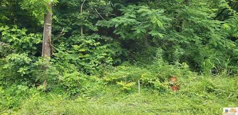 0 Catholic Hill Road, Bonnieville, KY 42713