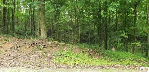 0 Pine Ridge Road, Bonnieville, KY 42713