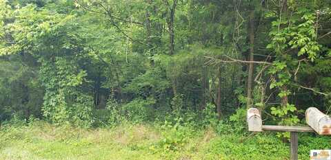 0 Mt Vernon Road, Bonnieville, KY 42713